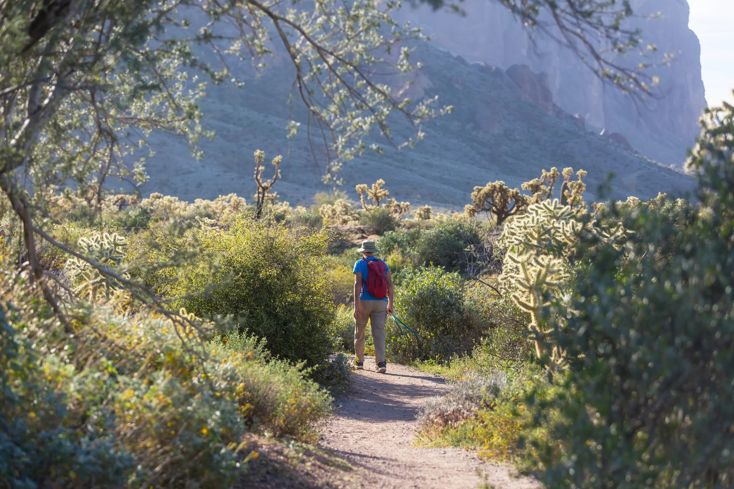 A hiker walking along an Arizona desert trail